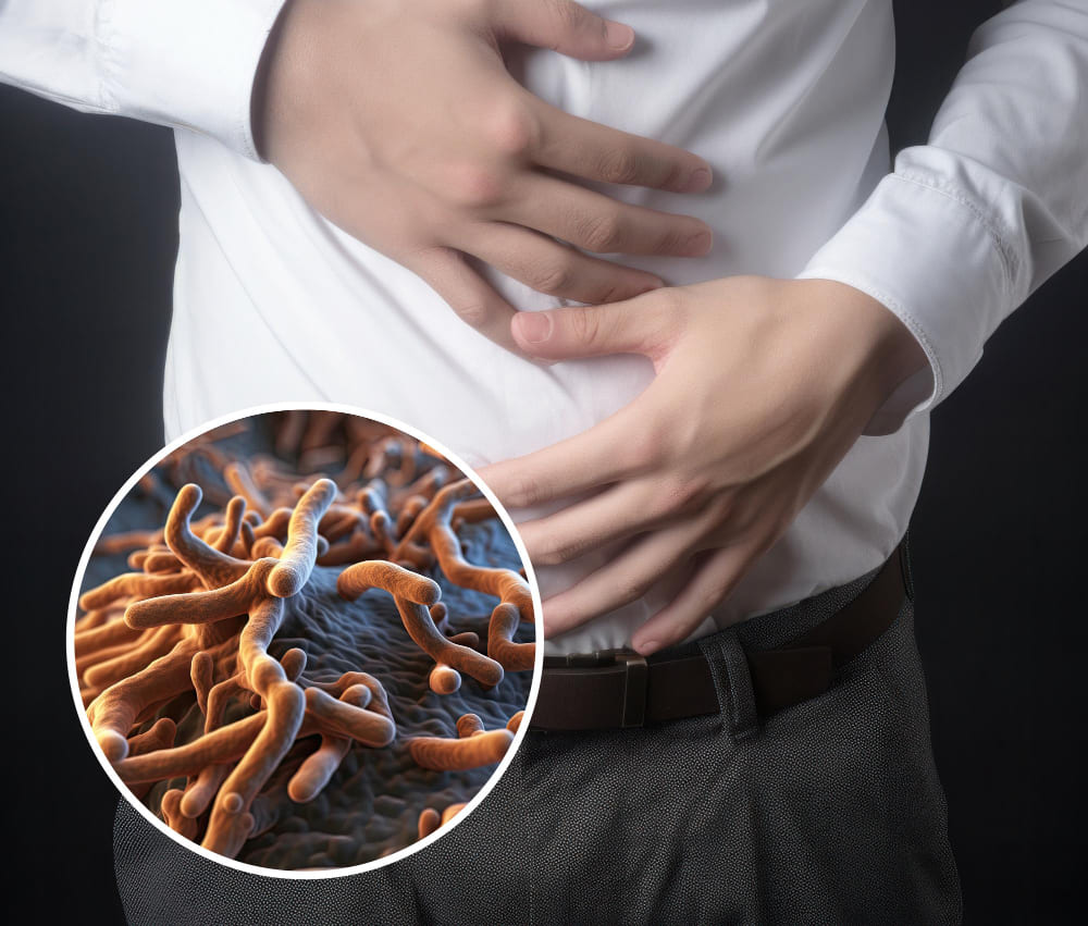 حجم الطحال الطبيعي