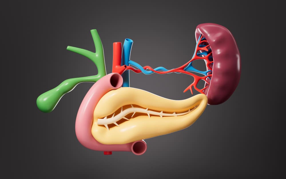 علاج انسداد القنوات المرارية بالأشعة التداخلية: لإنقاذ الكبد دون جراحة